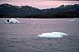 086 Small bergs from glacier.jpg