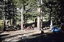 326_Morning_Sun_into_campsite.jpg