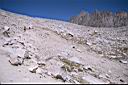 353_Up_to_Bishop_Pass.jpg
