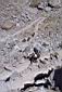 360_More_switchbacks.jpg