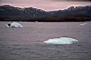086_Small_bergs_from_glacier.jpg