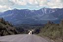110_Crossing_Robinson_River_valley.jpg