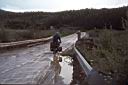 123_Leaving_Chicken_in_rain.jpg