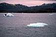 086 Small bergs from glacier.jpg 086 Small bergs from glacier.jpg
