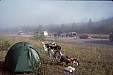 179 Morning fog lifting.jpg 179 Morning fog lifting.jpg