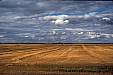 226 Wheat fields Saskatchewan.jpg 226 Wheat fields Saskatchewan.jpg