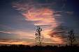 231 Sunset.jpg 231 Sunset.jpg