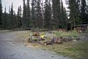 186_Another_view_of_camp.jpg