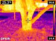 FLIR0005.jpg