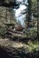 033_Jan's_site_near_ledge.jpg