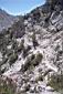 045_Trail_from_ledge_to_Col.jpg