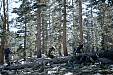 024 Up thru treeline.jpg 024 Up thru treeline.jpg