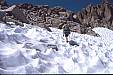 069 Almost to the Pass.jpg 069 Almost to the Pass.jpg