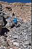 186 Yes there is a trail.jpg 186 Yes there is a trail.jpg