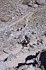 360 More switchbacks.jpg 360 More switchbacks.jpg