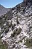 045_Trail_from_ledge_to_Col.jpg