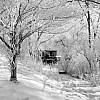 50-boathouse3.jpg 50-boathouse3.jpg