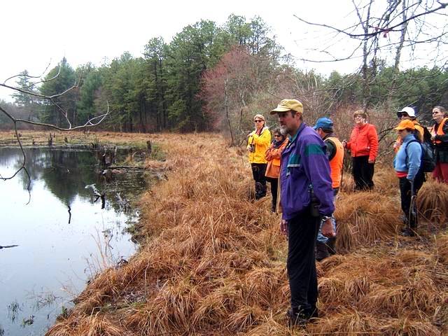 beaverpond_042807_03.jpg