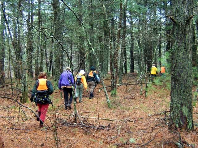 beaverpond_042807_05.jpg