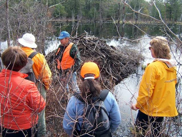beaverpond_042807_23.jpg
