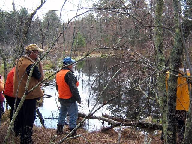 beaverpond_042807_26.jpg