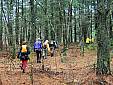 beaverpond_042807_05.jpg