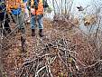 beaverpond_042807_20.jpg