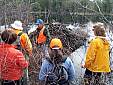 beaverpond_042807_23.jpg