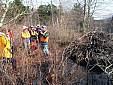 beaverpond_042807_24.jpg