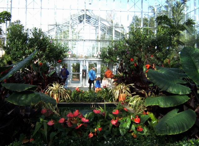 botanical_111007_35.JPG
