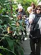 botanical_111007_09.JPG