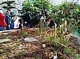 botanical_111007_26.JPG