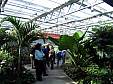 botanical_111007_33.JPG
