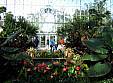 botanical_111007_35.JPG