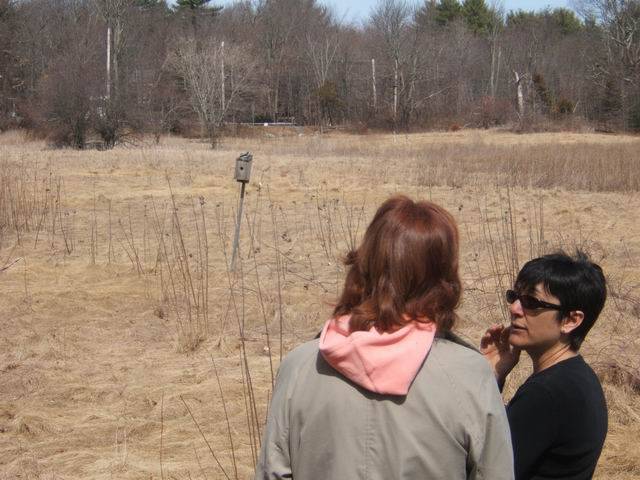 birchwold_04.jpg