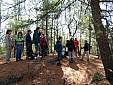 birchwold_01.jpg
