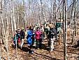 birchwold_03.jpg