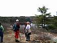 birchwold_05.jpg