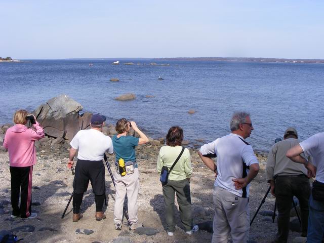 DSCF1163.JPG