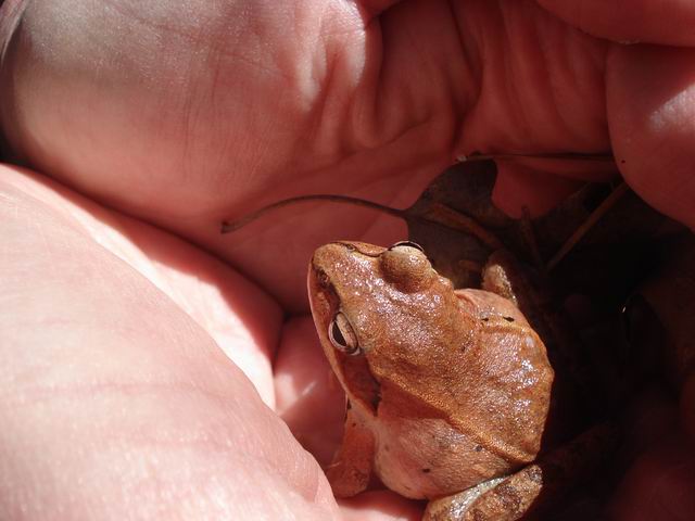 DSC05823.JPG