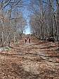 DSC05835.JPG
