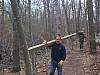 2_CarryingWood.jpg