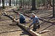 blackstone_041908_07.JPG