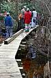 bridge_041308_01.JPG