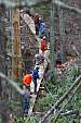 bridge_041308_11.JPG