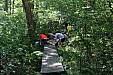 IMG_3208_copy.jpg