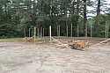 IMG_3306.jpg