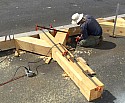 10-IMG_0397.jpg
