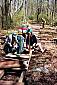 building_boardwalk_12.jpg