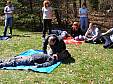 DSCF0423.JPG